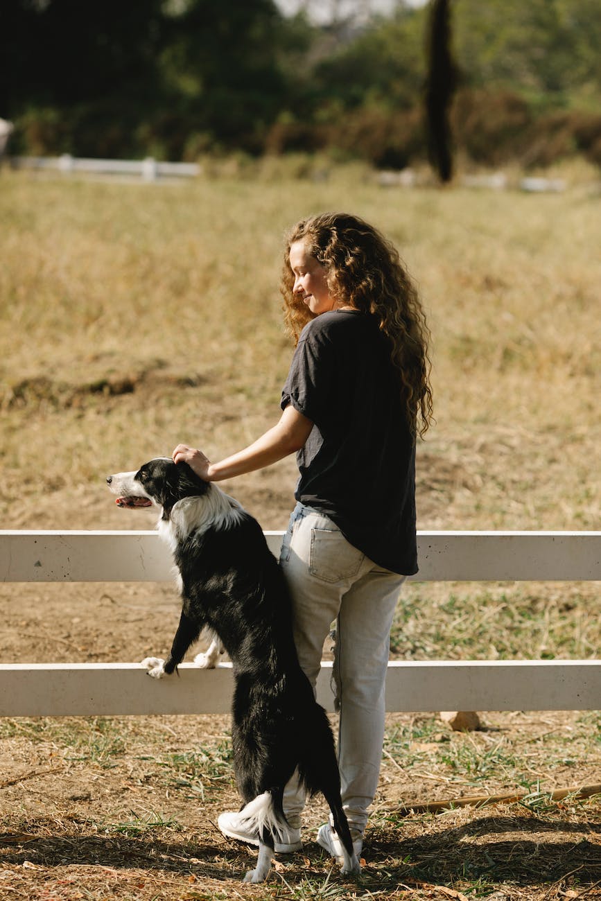 girl and dog standing together at farm fencing
